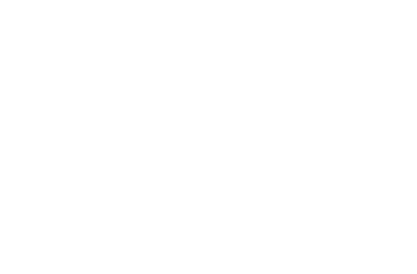 Existing in Nature,Flexible Control is Creating a New Flow.